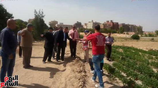 رئيس جامعة القناة يفتتح موسم موسم حصاد البطيخ بمزرعة كلية الزراعة (4)