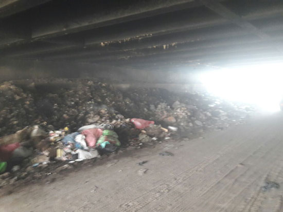 صحافة المواطن شكوى من تراكم القمامة بمنطقة أرض اللواء  (4)