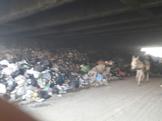 صحافة المواطن شكوى من تراكم القمامة بمنطقة أرض اللواء  (5)