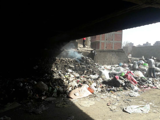 صحافة المواطن شكوى من تراكم القمامة بمنطقة أرض اللواء  (7)