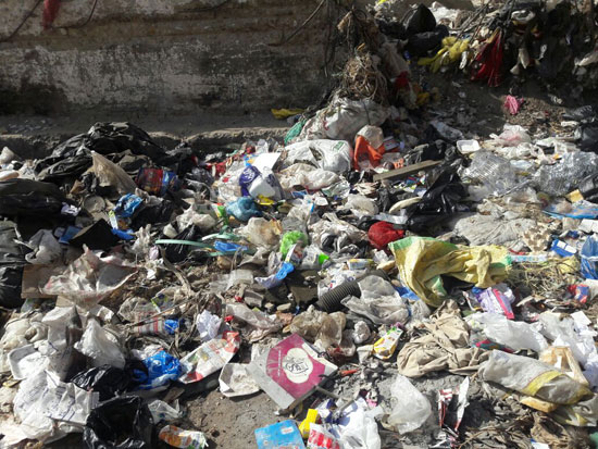 صحافة المواطن شكوى من تراكم القمامة بمنطقة أرض اللواء  (8)