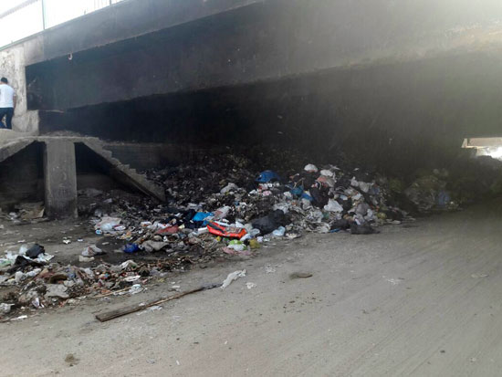 صحافة المواطن شكوى من تراكم القمامة بمنطقة أرض اللواء  (9)
