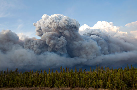 حرائق الغابات فى كندا (11)
