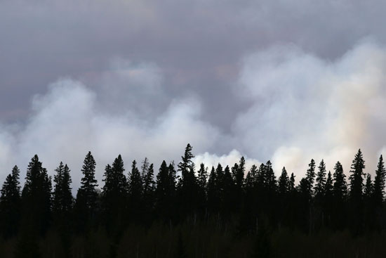 حرائق الغابات  كندا (3)