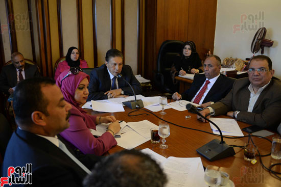  لجنة الشئون العربية بمجلس النواب (4)