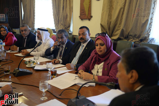  لجنة الشئون العربية بمجلس النواب (5)