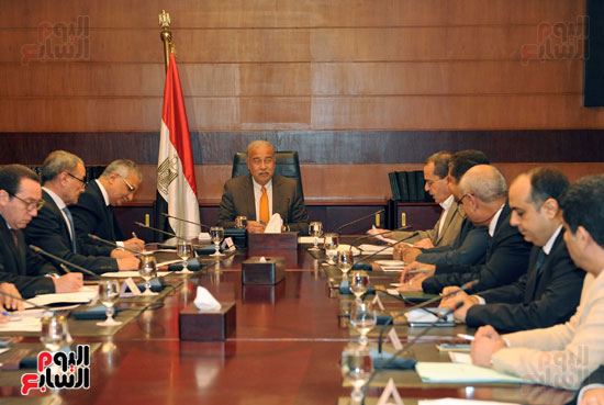 اجتماع لجنة القمح بمجلس الوزراء (1)