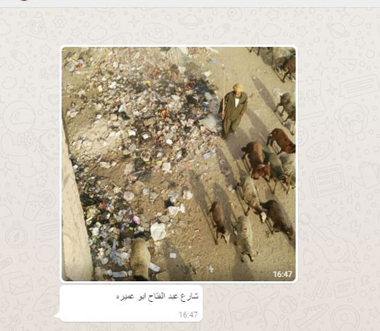  انتشار القمامة بشارع عبد الفتاح أبو عميرة (3)