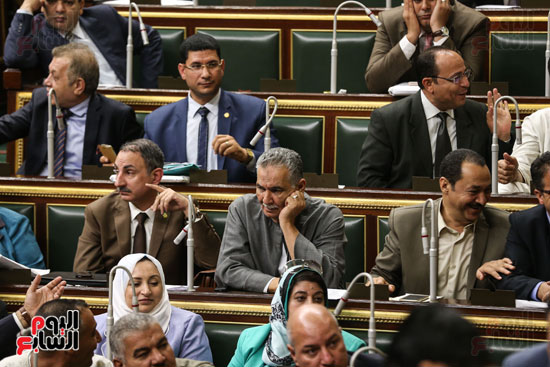 مجلس النواب البرلمان عصام فايد على عبد العال (1)