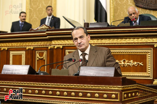 مجلس النواب البرلمان عصام فايد على عبد العال (12)