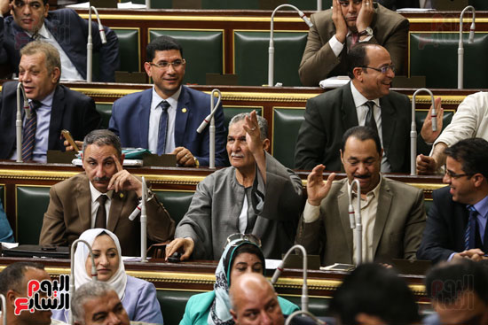 مجلس النواب البرلمان عصام فايد على عبد العال (13)