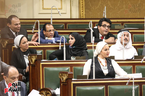 مجلس النواب البرلمان عصام فايد على عبد العال (4)