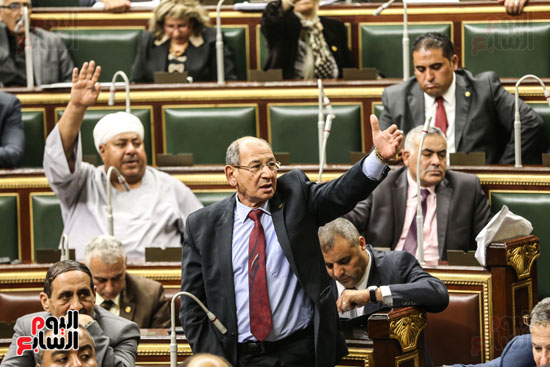 مجلس النواب البرلمان عصام فايد على عبد العال (6)