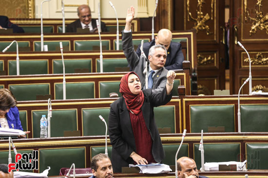 مجلس النواب البرلمان عصام فايد على عبد العال (7)