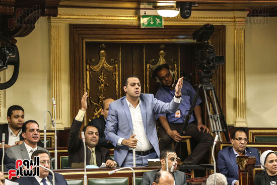 مجلس النواب البرلمان عصام فايد على عبد العال (8)