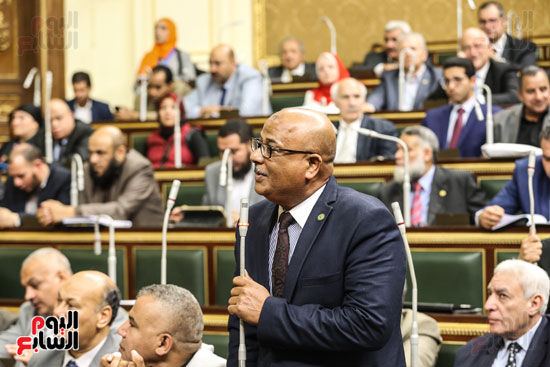 مجلس النواب البرلمان عصام فايد على عبد العال (9)