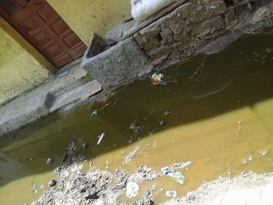  مياه الصرف الصحى تغرق منازل قرية كومبو القصر فى البحيرة (3)