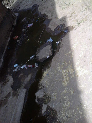  مياه الصرف الصحى تغرق منازل قرية كومبو القصر فى البحيرة (6)