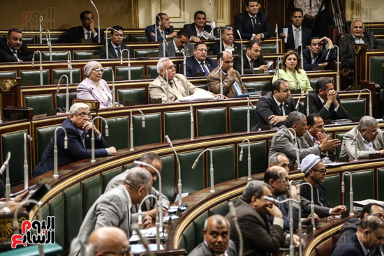 مجلس النواب البرلمان على عبد العال  (4)