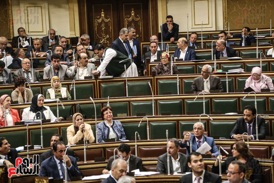 مجلس النواب البرلمان على عبد العال  (5)