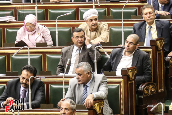 مجلس النواب البرلمان على عبد العال  (6)