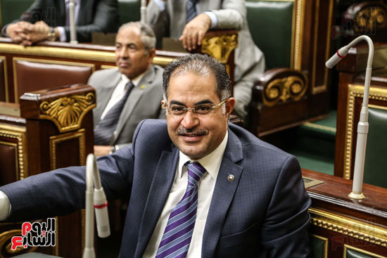 مجلس النواب البرلمان على عبد العال  (10)