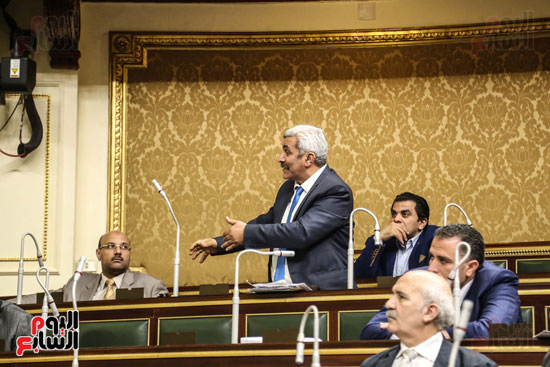 مجلس النواب البرلمان على عبد العال  (12)
