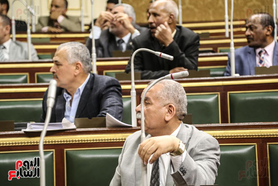 مجلس النواب البرلمان على عبد العال  (13)