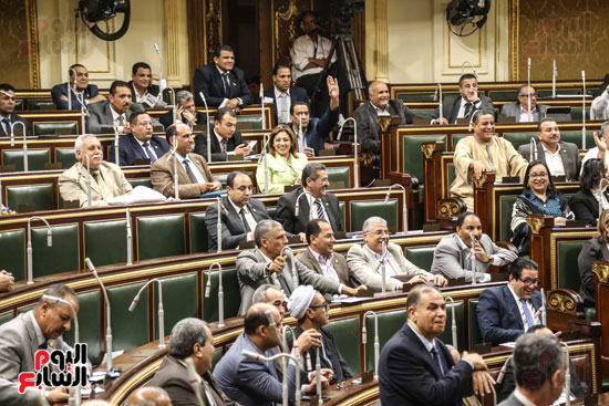 مجلس النواب البرلمان على عبد العال  (17)