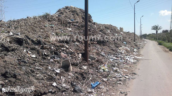 مخلفات ترعة المحمودية على مدخل قرى ابيس -اليوم السابع -6 -2015