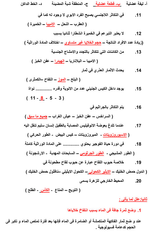 اليوم السابع -6 -2015