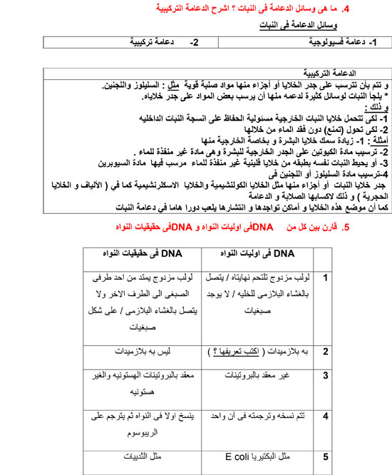 اليوم السابع -6 -2015