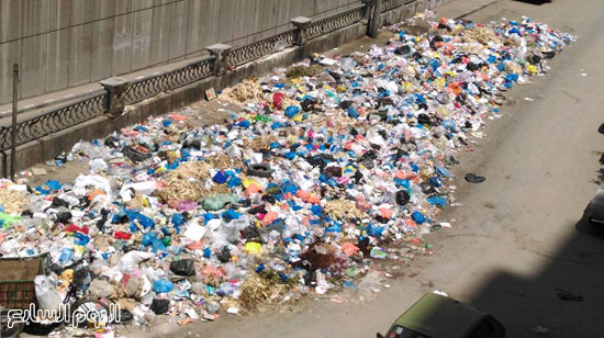 القمامة تملأ الشوارع الرئيسية بالمحافظة -اليوم السابع -6 -2015