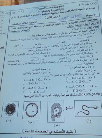 اليوم السابع -6 -2015