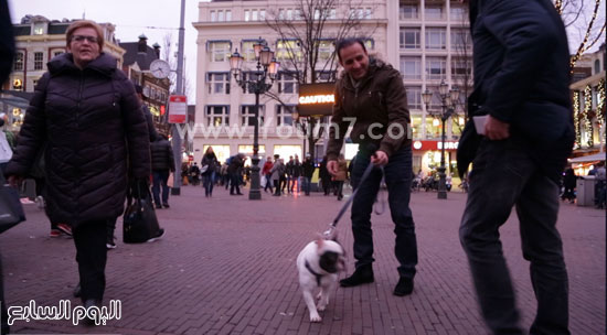 طارق علام يصطحب كلبا فى هولندا -اليوم السابع -6 -2015