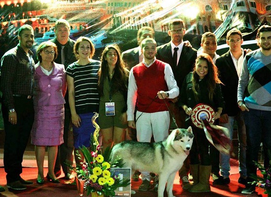 حصول آيس على لقب أجمل كلب دولى فى مسابقة الغردقة الدولية -اليوم السابع -6 -2015