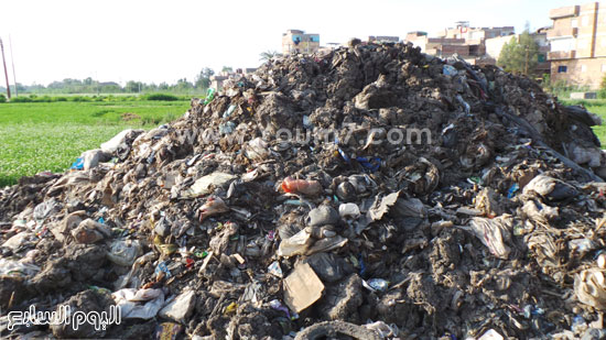 القمامة متراكمة خلف الشارع الرئيسى بفوة -اليوم السابع -6 -2015