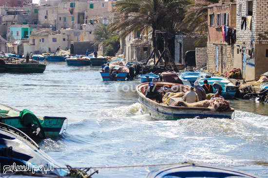 خليج المكس يعانى التلوث  -اليوم السابع -6 -2015