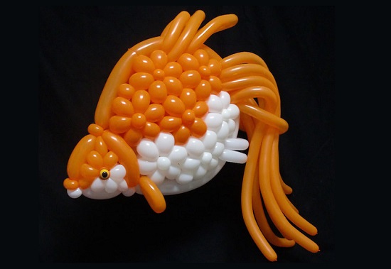 سمكة جميلة من البالونات -اليوم السابع -6 -2015
