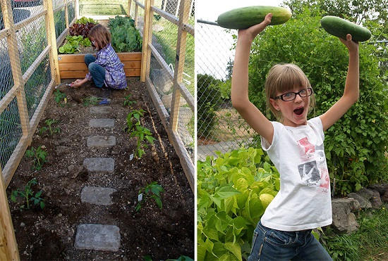 أثناء زراعة بعض الخضراوات التى تعينهم على العيش  -اليوم السابع -6 -2015