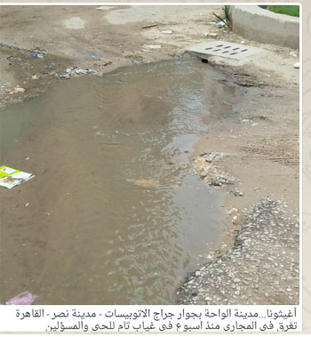 اليوم السابع -6 -2015 اليوم السابع -6 -2015