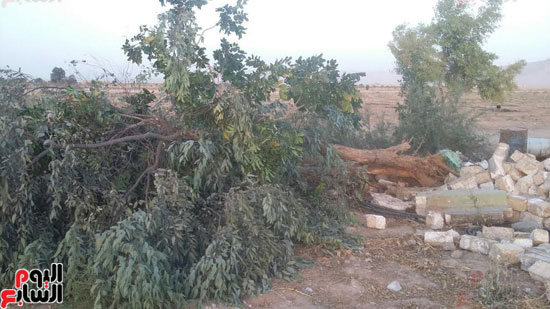 قرار الإزالة (1)