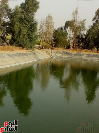 قرار الإزالة (3)