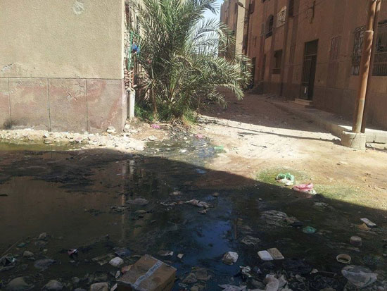 مياه الصرف بشوارع بنى سويف (2)
