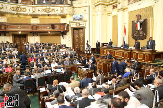 مجلس النواب - الجلسة العامة (8)