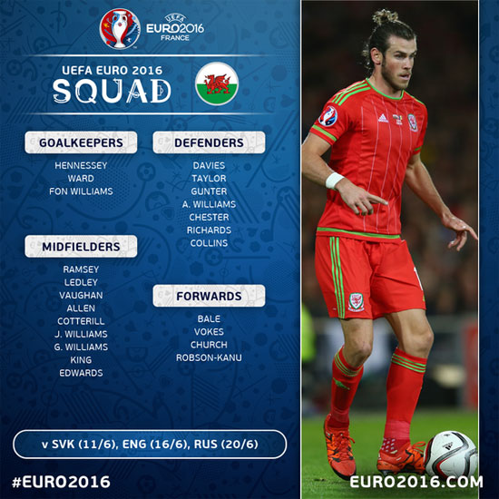 نجوم يورو 2016 (7)