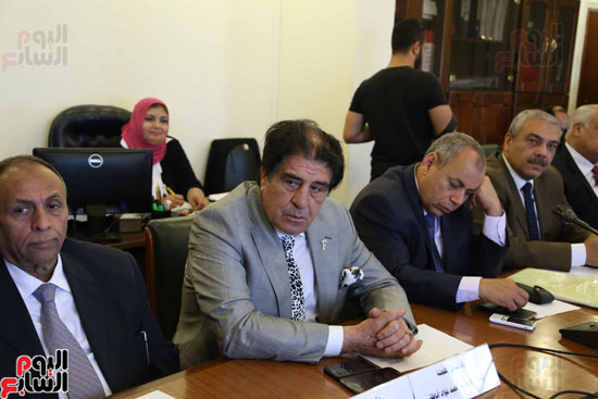 لجنة الشئون العربية (5)