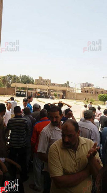 عمال مصنع الغزل والنسيج بكوم حمادة (2)