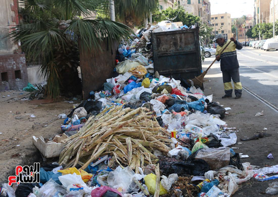 انتشار القمامه بالإسكندرية (4)