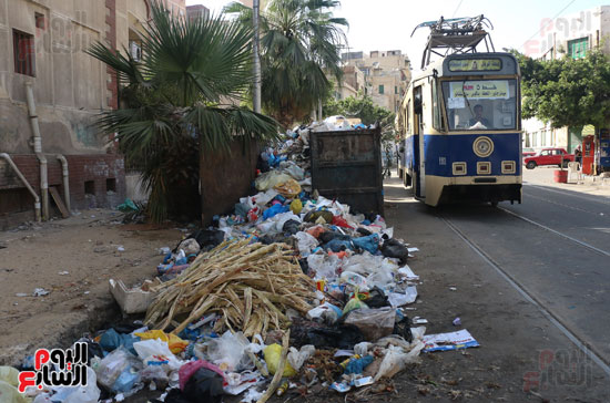 انتشار القمامه بالإسكندرية (6)